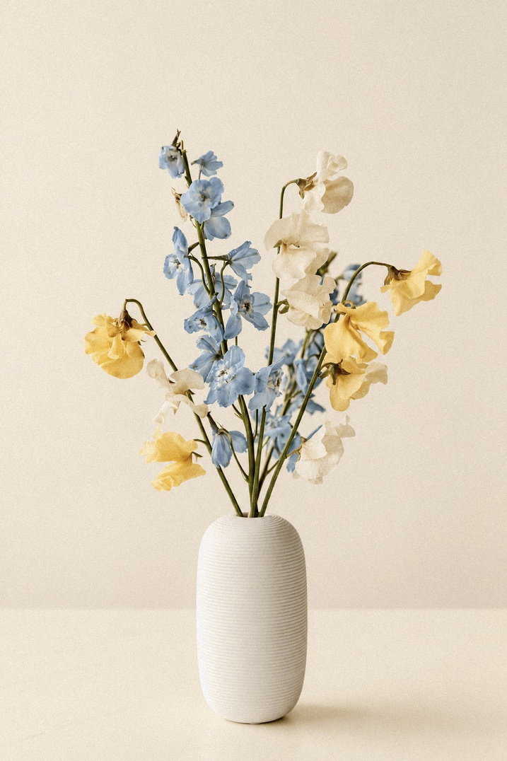 White Garden
