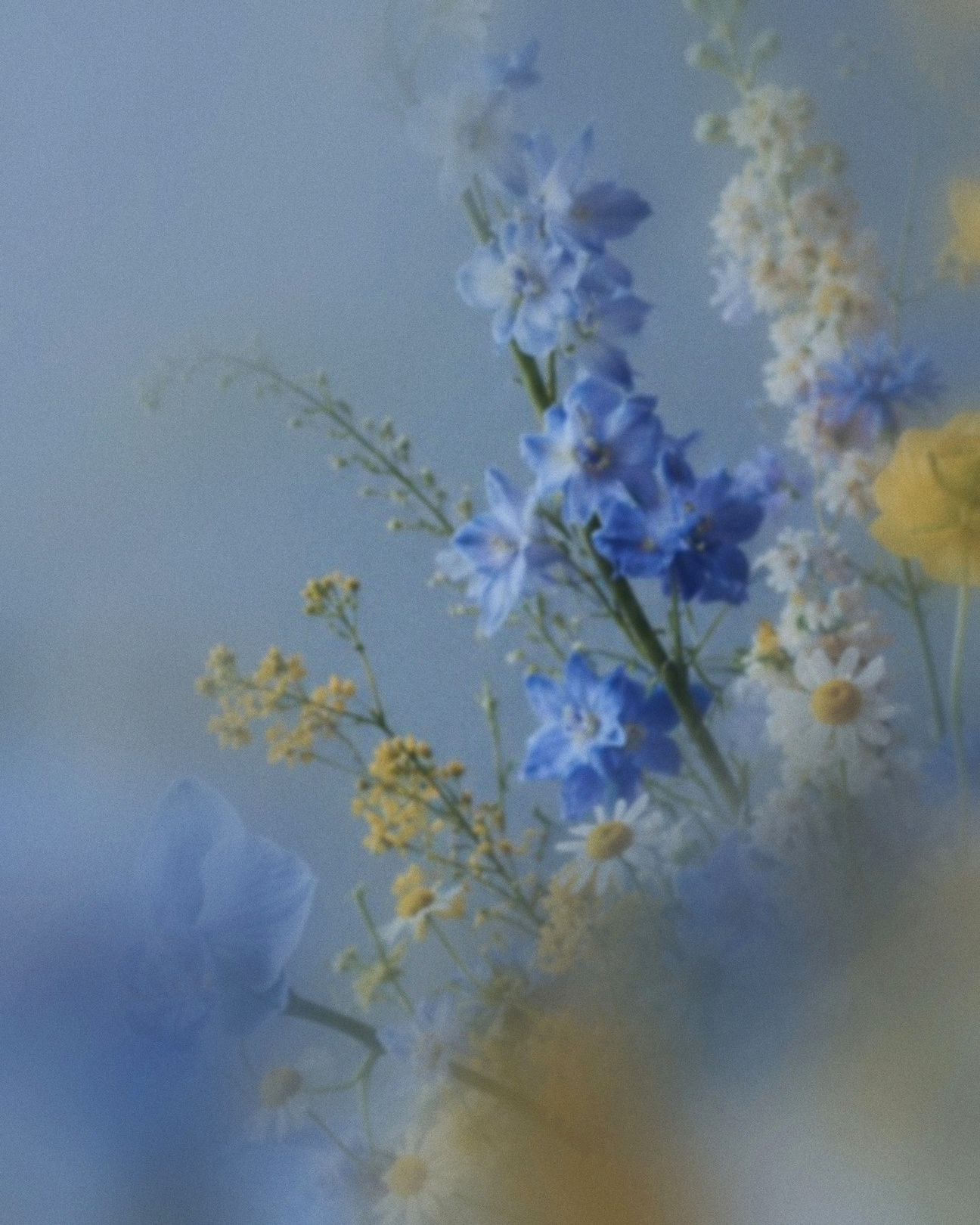 Bouquets